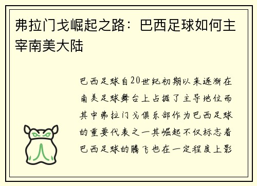 弗拉门戈崛起之路：巴西足球如何主宰南美大陆